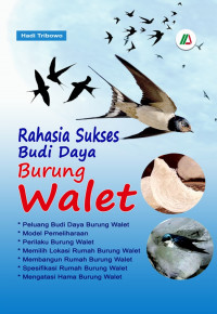 Rahasia sukses budi daya burung walet